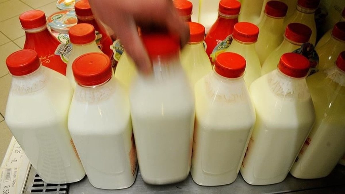 Türkiye'nin ayran ve kefir üretimi rekor kırdı