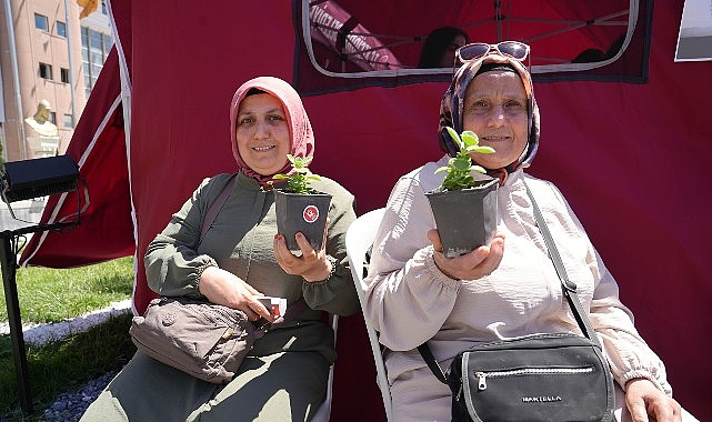 Keçiören'de Uyuşturucuyla Mücadele Günü Kapsamında Fidan ve Fide Dağıtıldı