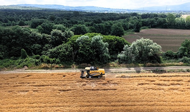 Kocaeli'de tarım, altın çağını yaşıyor