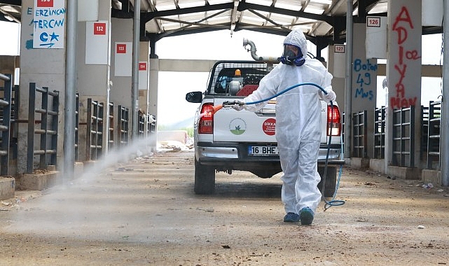 Osmangazi'de Kurban Pazarları İlaçlanarak Dezenfekte Edildi