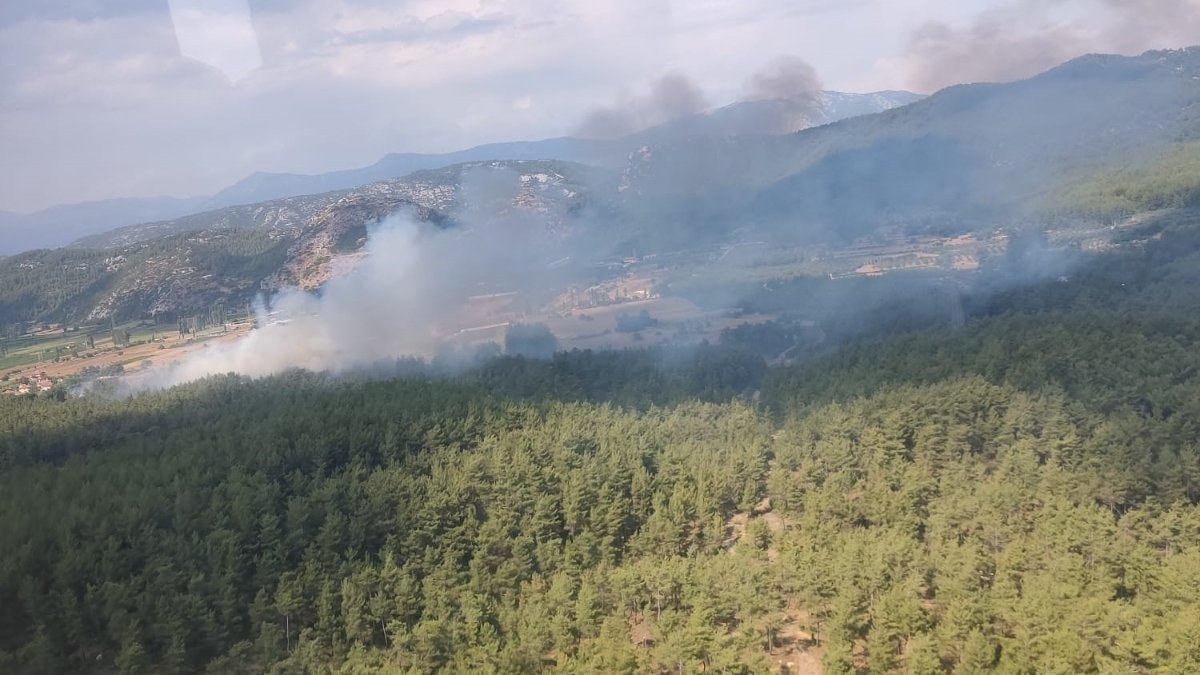 Muğla'da çıkan orman yangınına müdahale ediliyor
