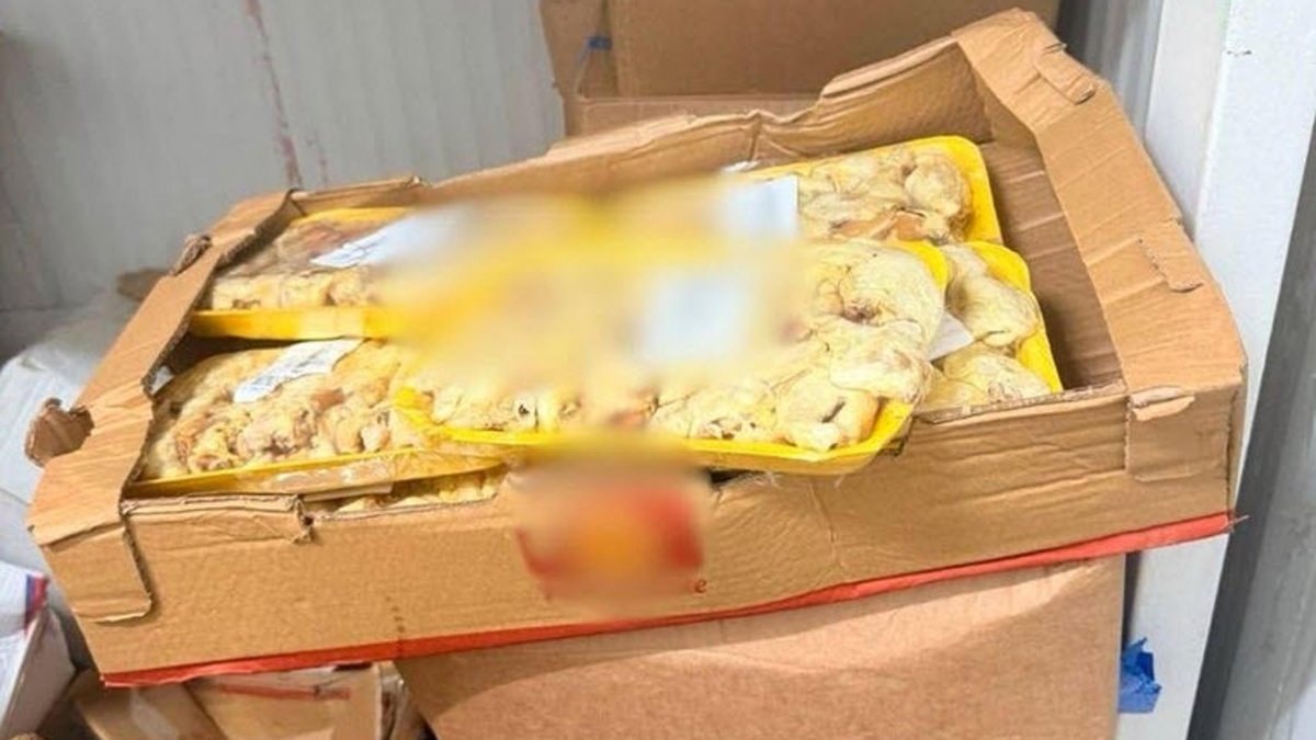 Muğla'nın Bodrum ilçesinde tarihi geçmiş 1,2 ton gıdaya el konuldu