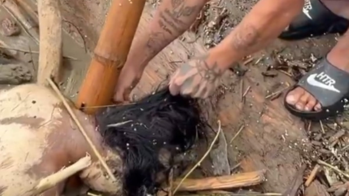Nepal'deki sel sonrası cesetlerin ziynet eşyaları yağmalandı