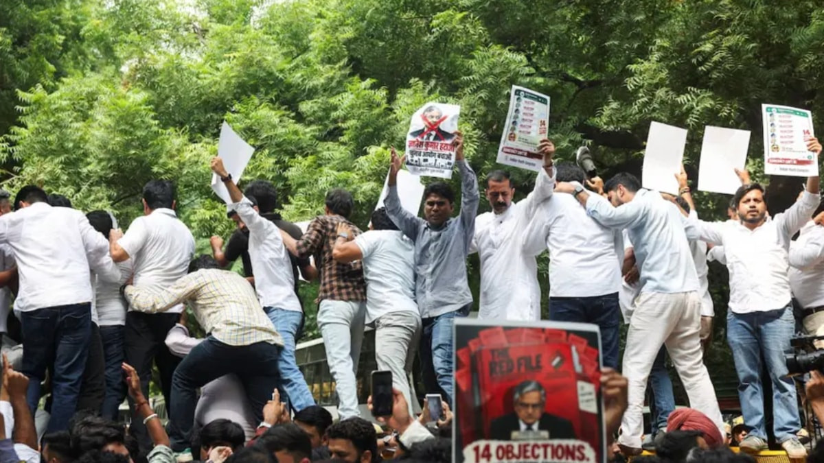 Hindistan'da seçmen kütüğü düzenlemesi protestolarında 1000 gözaltı: Hamam Böceği Halk Partisi öne çıktı